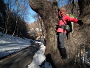 Invernale-primaverile in LEGNONCINO (1711 m.) dai Roccoli dei Lorla il 22 febbraio 2012  - FOTOGALLERY